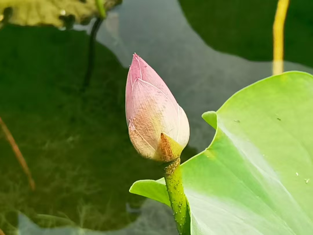 1762305520509567.jpg 微信图片_20251105091008_2708_478.jpg