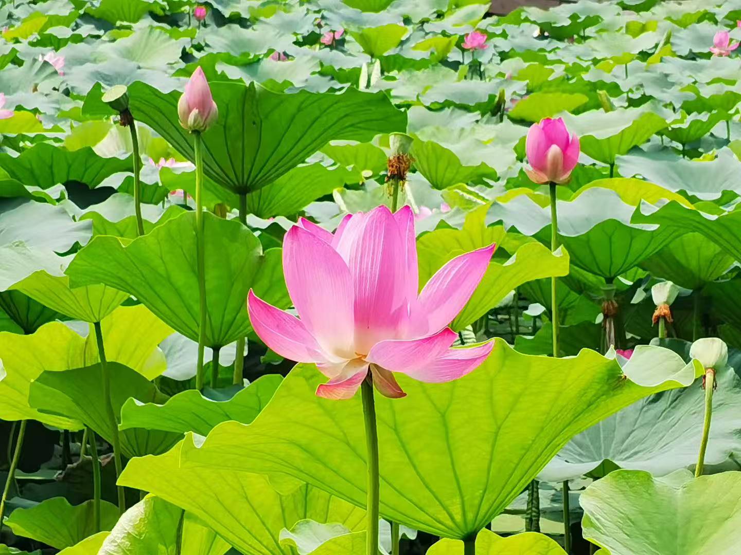 1764136971782816.jpg 微信图片_20251126135257_3288_478.jpg