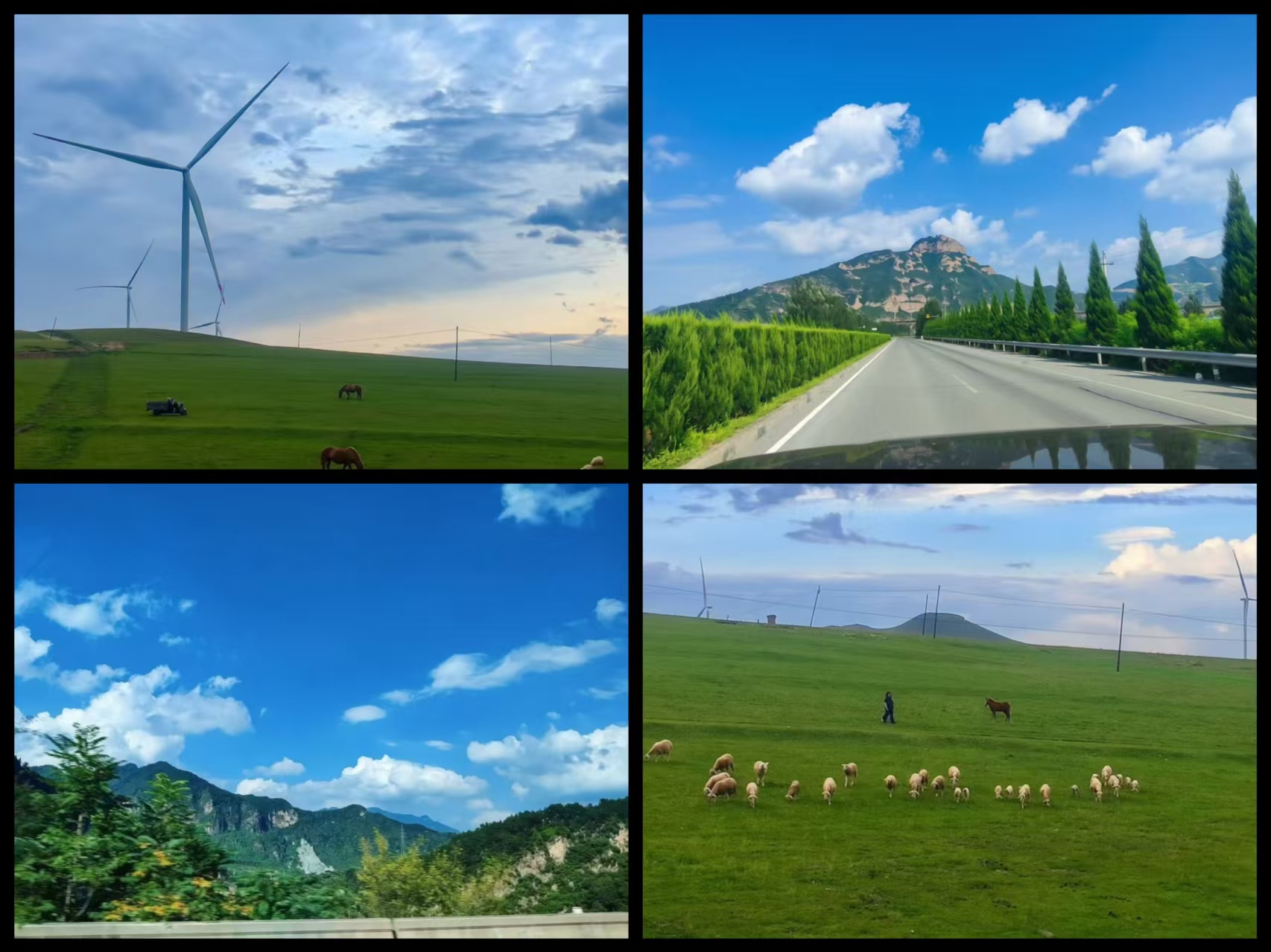 1785825324170892.jpg 微信图片_20260804143020_166_52.jpg