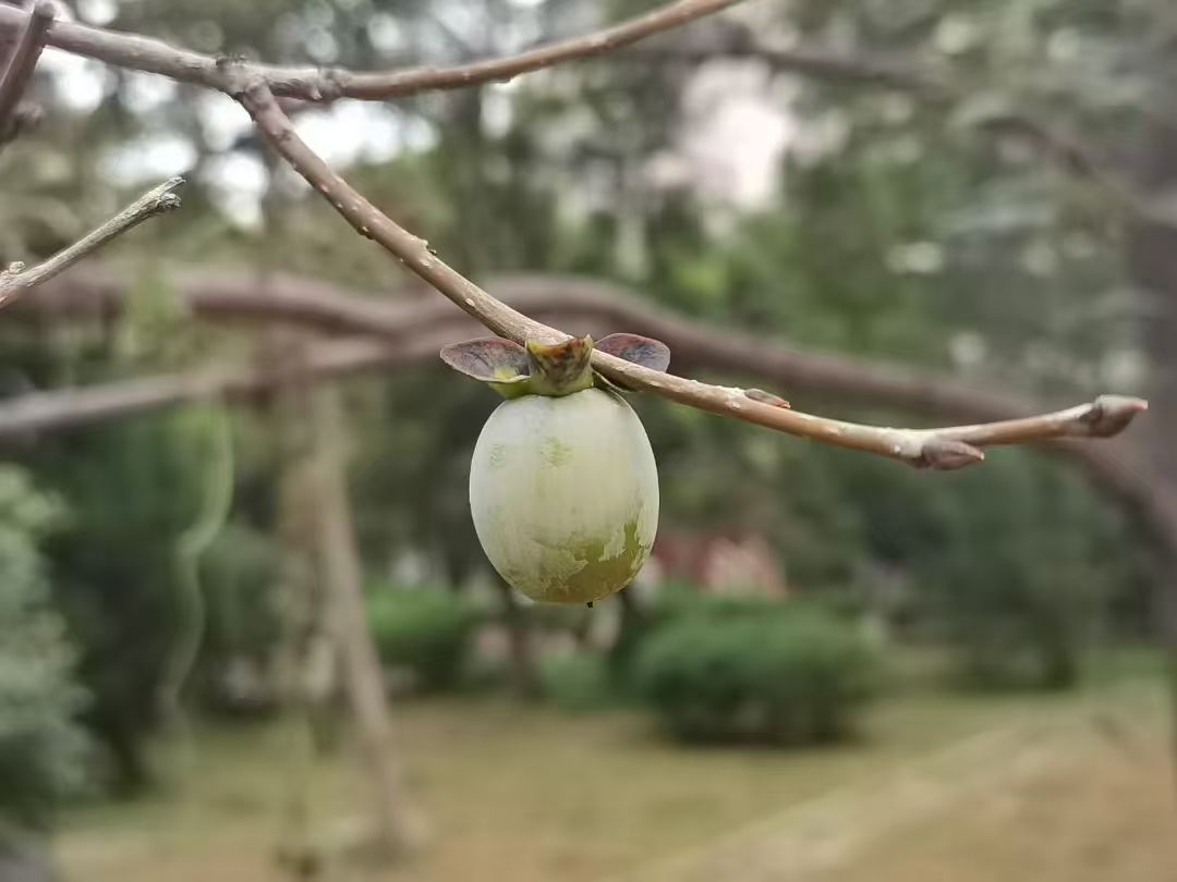 1788848313373528.jpg 微信图片_20260908135206_889_52.jpg