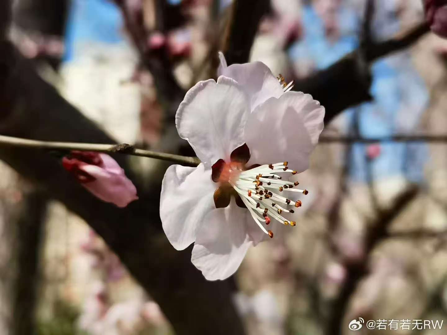 ΢ͼƬ_20250427165145.jpg