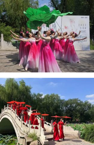 ��ʽ�������ɷ硤����