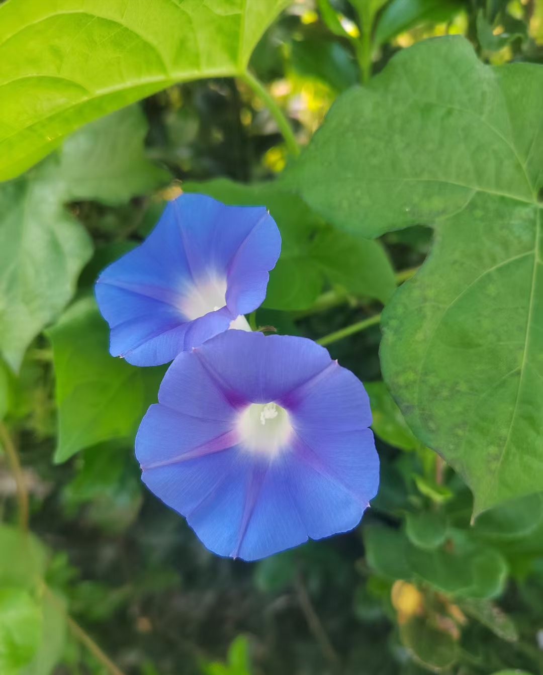 ΢ͼƬ_2025-08-11_100124_759.jpg