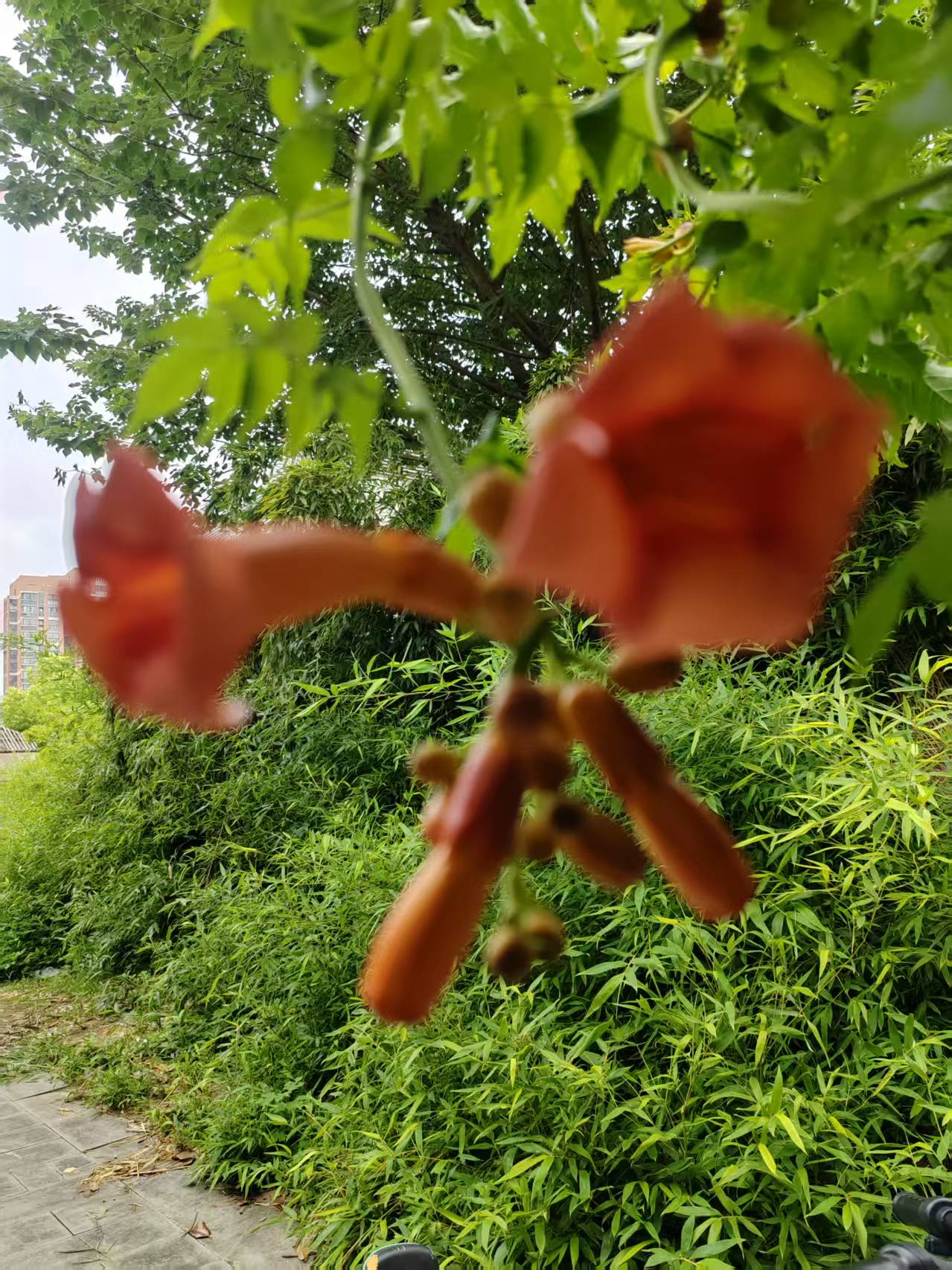 ΢ͼƬ_2025-08-12_132418_141.jpg