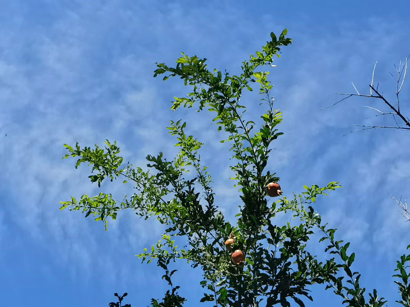΢ͼƬ_20250816084641.jpg
