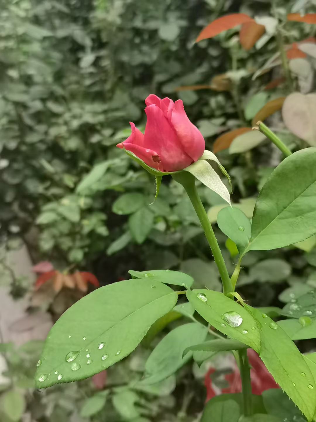 ΢ͼƬ_20250820193244.jpg