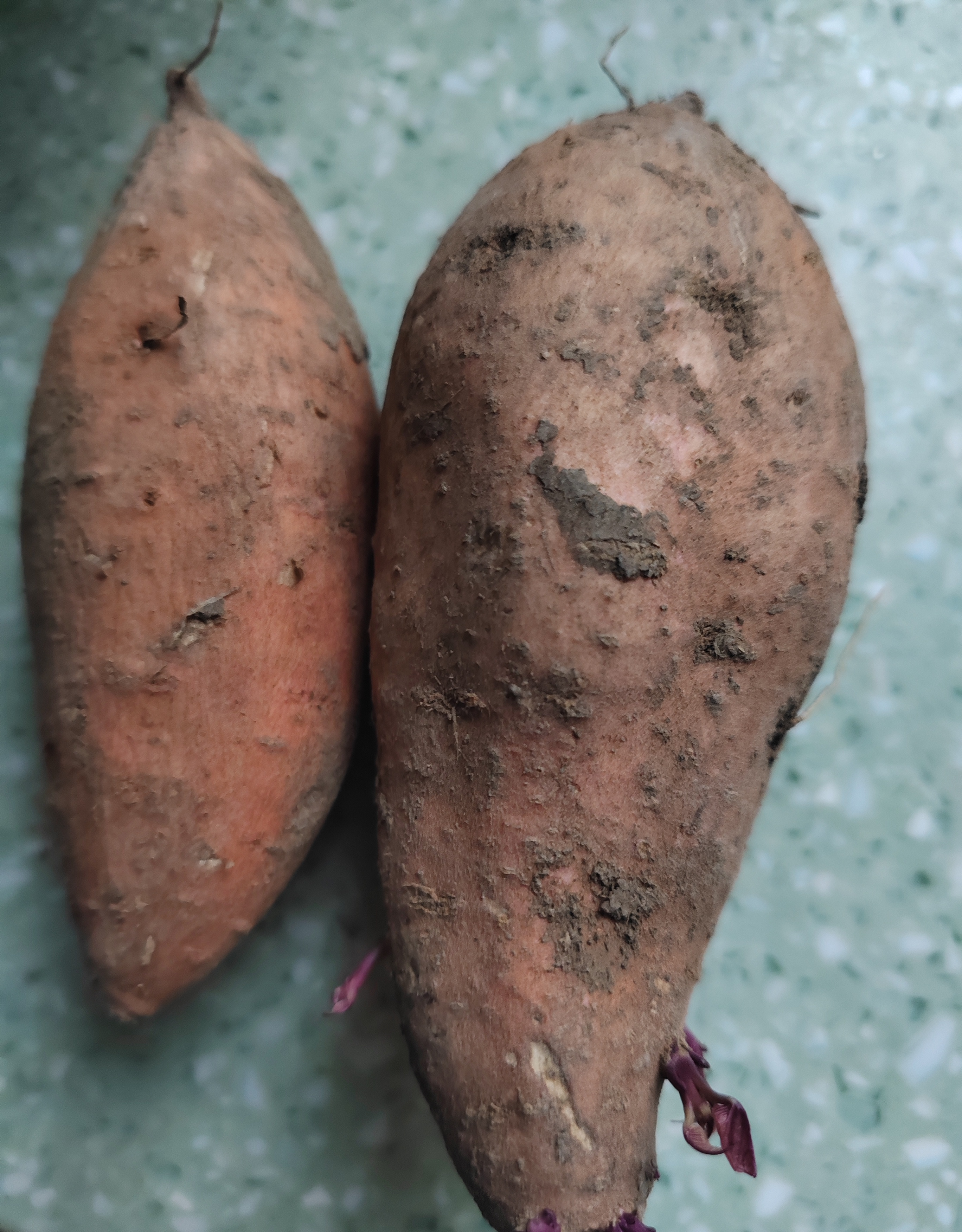 1758869693718440.jpg 微信图片_20250926145314_1710_478.jpg