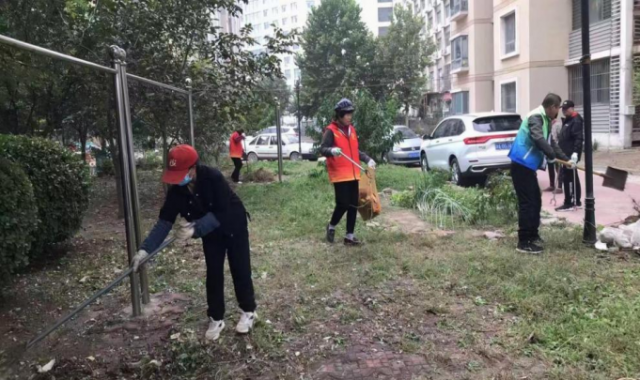 ʵ | ԰壺޼֦ ɫ԰ػ