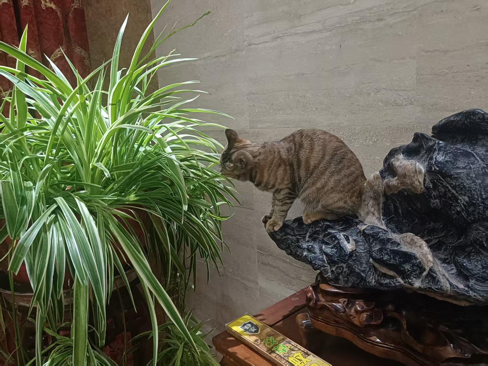 1762328017847796.jpg 5f951b2e87c89afbc3ea63702842387b_1758004599114626.jpg