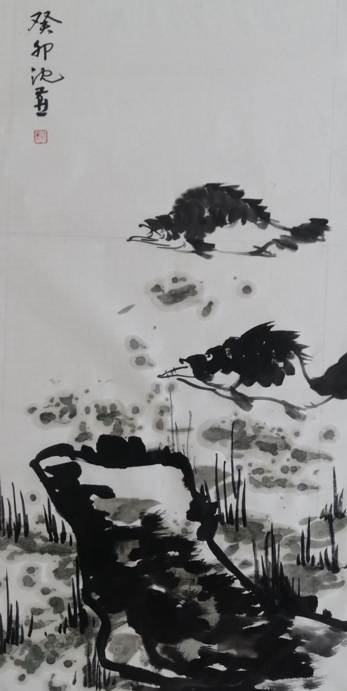 1769045723971131.jpg 微信图片_20260122091106_4627_478.jpg