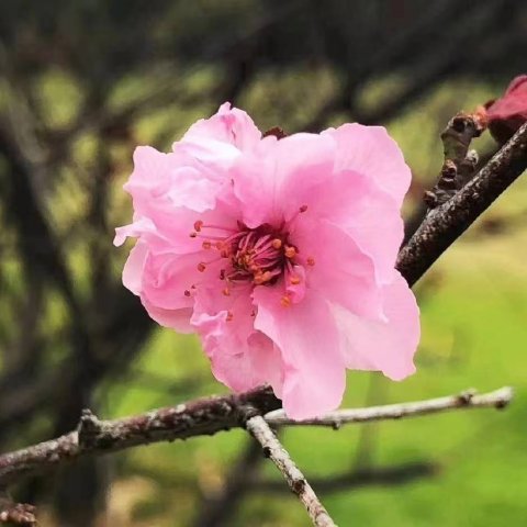 �������ޣ����ʫ�ˣ��ŵ�ʫ������