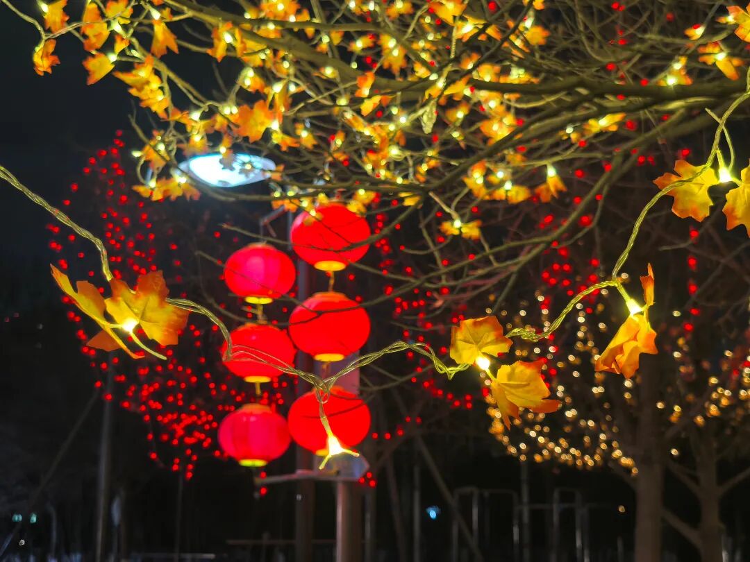 1770947578268276.jpg 微信图片_2026-02-13_095046_491.jpg