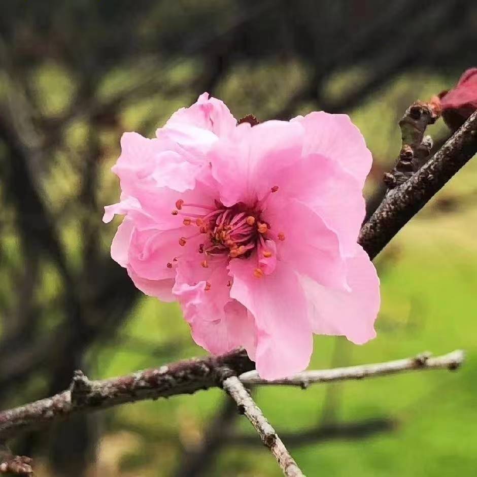 1771234128584516.jpg 微信图片_20250601094712.jpg